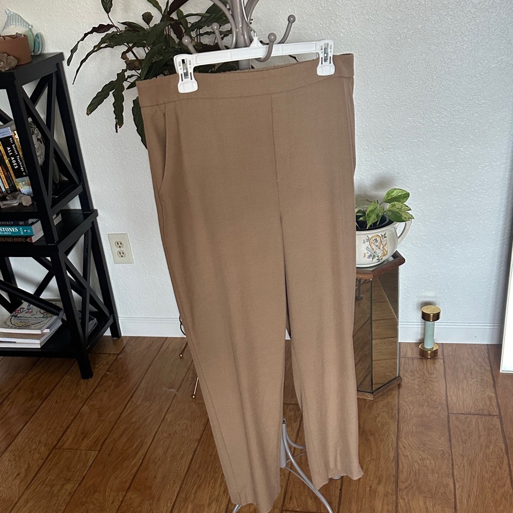 Banana Republic Tan Trousers